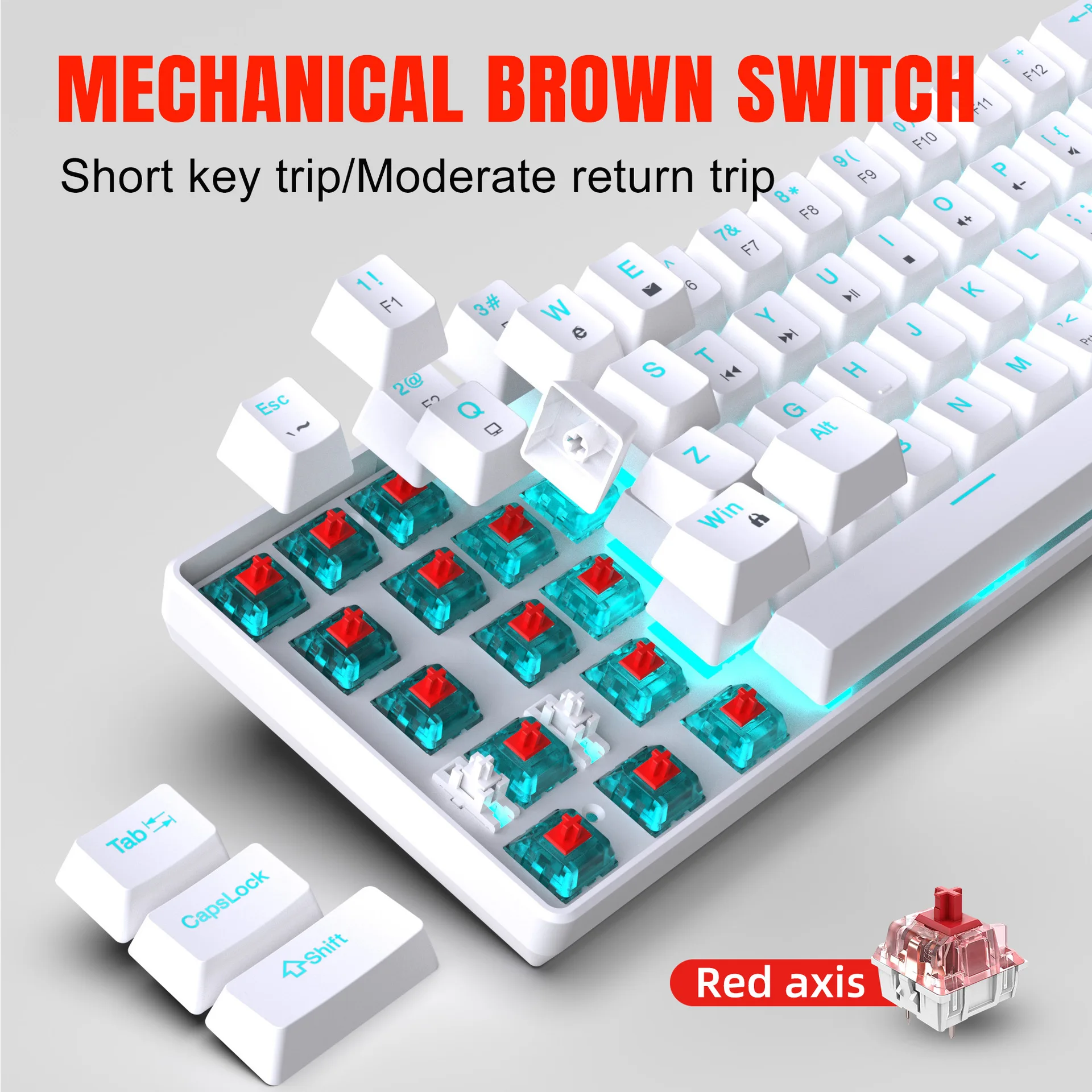 기계식 게이밍 키보드 60% USB 화이트 키보드 게이 - Gaming Keyboard Budget 리뷰 및 가격